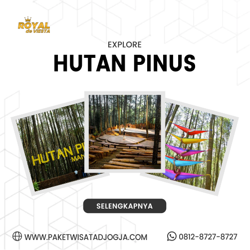Destinasi Wisata Jogja Hutan Pinus Mangunan